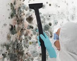 Why You Should Choose Our Mold Remediation Services in East Uniontown, PA